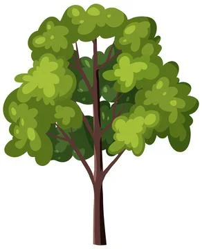 Green Deciduous Tree Vector Illustration Isolated on White Background イラスト素材