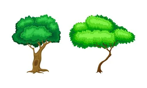 Green deciduous trees set. Summer landscape design elements cartoon vector Stock Illustration