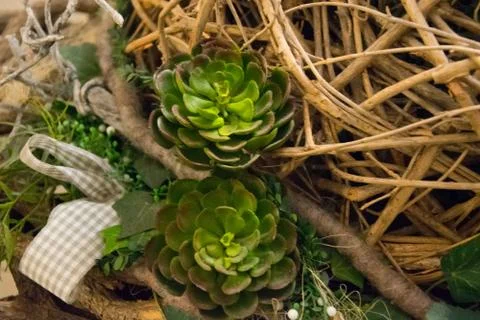 Green deco Foto stock