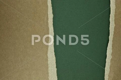Green deco teared paper Stock Photos