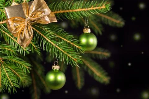 Green decoration on a tree 스톡 사진