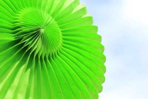 Green decorative background Foto stock