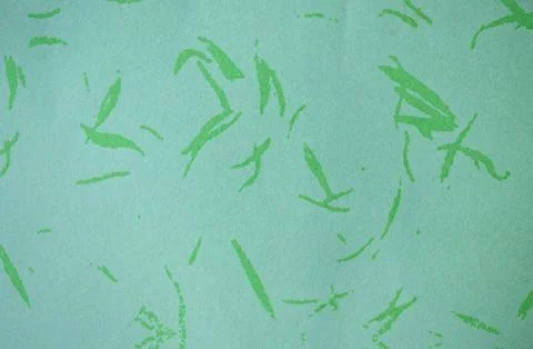 Green Decorative Pattern with Leaf Motif Stock Photos