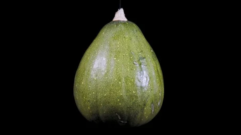 Green decorative pumpkins rotate on a black background Stock Footage 101473060