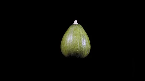 Green decorative pumpkins rotate on a black background Stock Footage 101473179