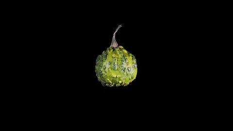 Green decorative pumpkins rotate on a black background Stock Footage 101473315