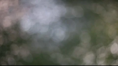 Green defocused background Vidéo 1014441