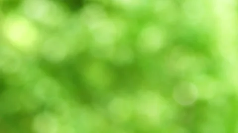 Green Defocused Background Stock-Footage 64796805