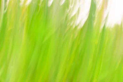 Green defocused dynamic abstract background. Long time exposure motion blur 스톡 사진