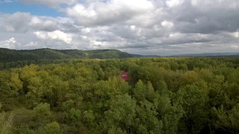 Green dense banks of the river Stock Footage 103953774
