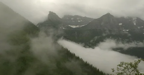Green dense forest mountain covered with fog Stock Footage 97609114