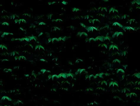 Green dense gradient green impenetrable thicket of the forest in the dark green Stock-Illustration