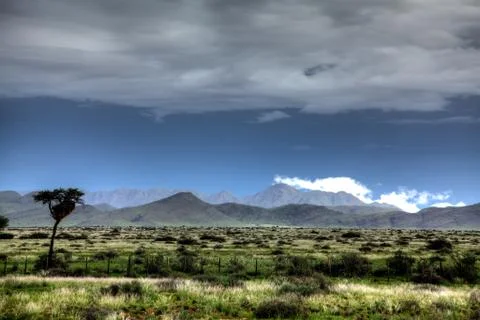 Green desert Stock Photos