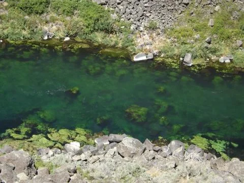 Green Desert River Stock Photos