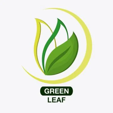 Green design. leaf icon. White background, graphic vector Stock Illustration