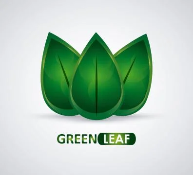 Green design. leaf icon. White background, graphic vector Stock Illustration