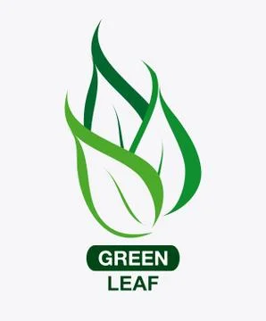 Green design. leaf icon. White background, graphic vector Stock Illustration