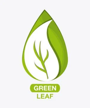 Green design. leaf icon. White background, graphic vector Stock Illustration