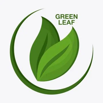 Green design. leaf icon. White background, graphic vector Stock Illustration