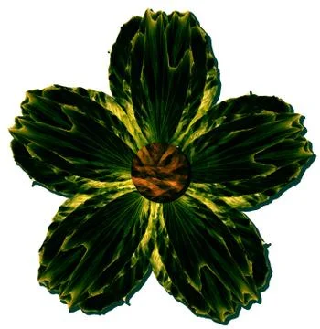 Green diamond effect flower design Stock Photos