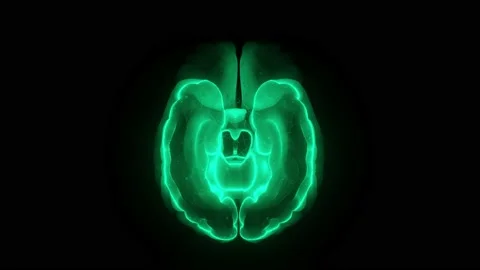 Green digital brain scan Stock Footage 228078172