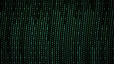 Green digital code matrix background with white and blue code on black. Stock Footage 336701779