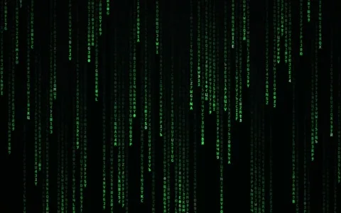 Green digital code rain on black background Stock Footage 343802307