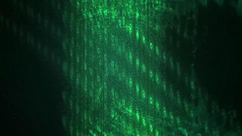 Green digital matrix background animation. Stock Footage 333926928