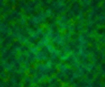 Green digital studio background Stock Illustration