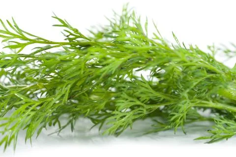 Green dill Stock Photos