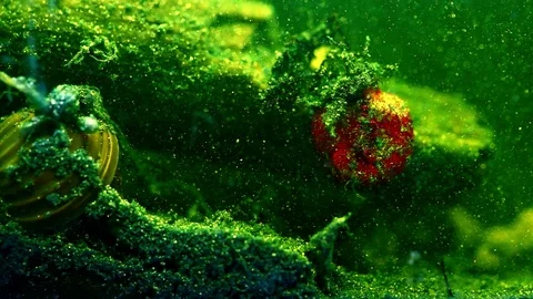 Green dirt water with bubbles Video stock 122376110