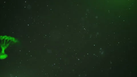 Green DNA chain Loop Stock Footage 94762566