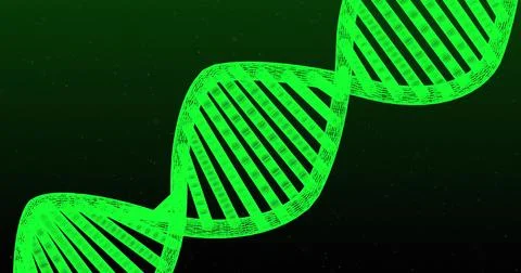 A green DNA double helix structure stands out on a dark background 스톡 사진