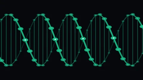 Green DNA Helix Rotating On Black Background Video stock 341776777