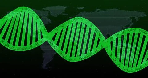 Green DNA strand image over world map background Stock Illustration