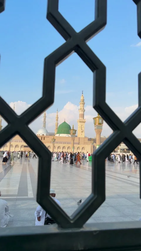 Green Dome View Through Geometric Fence Stock Footage 331088675