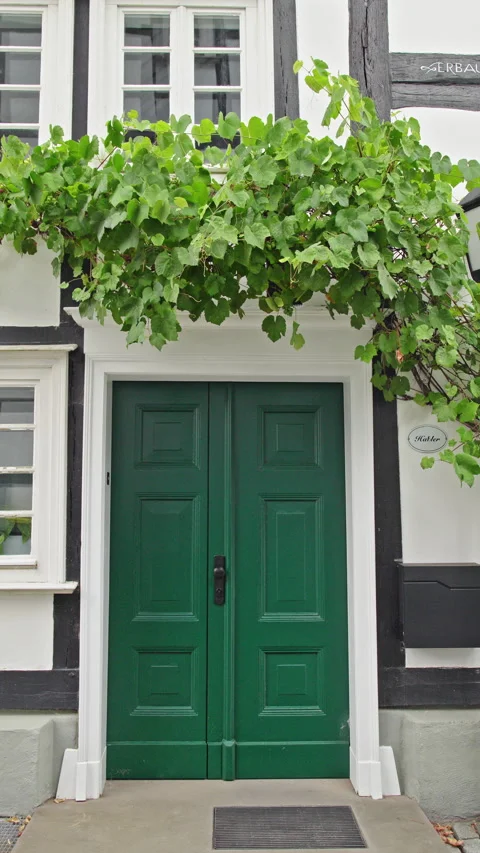 Green Double Door Beneath Grapevine on Half-Timbered House Stock Footage 344389660