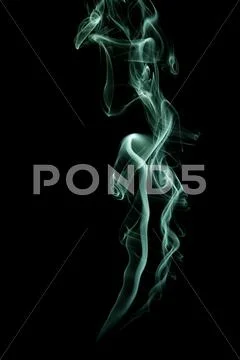 Green dragon Stock Illustration