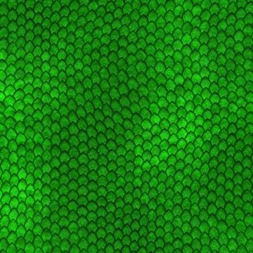Green dragon scales pattern 库存插图