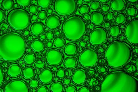 Green drops and bubbles background Stock Photos