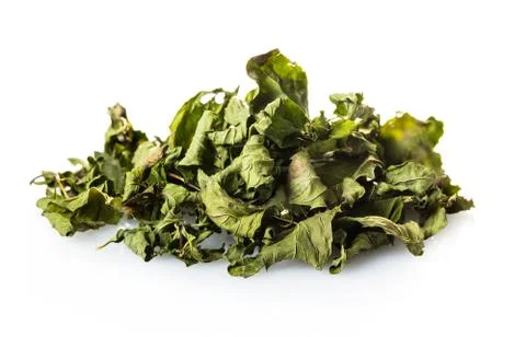 Green dry tea mint Stock Photos