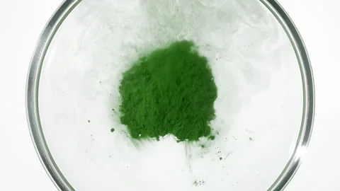 Green dust cloud in petri dish from top Stock Footage 339389754