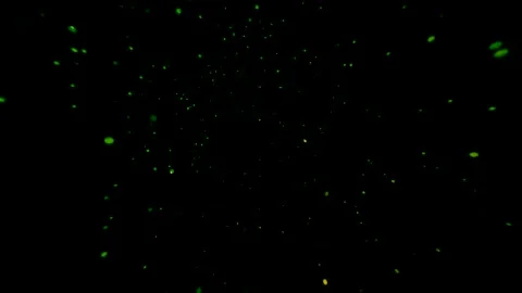 Green Dust Particles in a Black Void Stock Footage 289117839