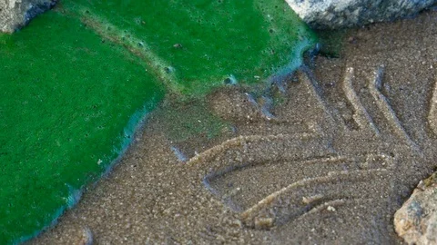 Green dust river water Video stock 78729715