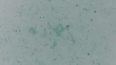 Green dye drops with clear oil Stock Footage 77779072