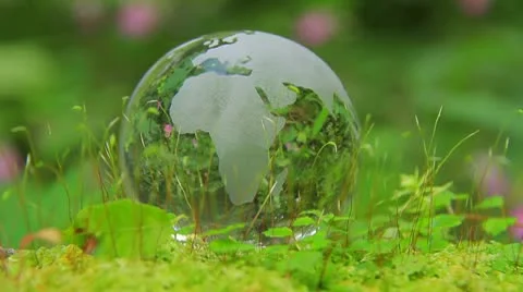 Green Earth Stock Footage 8908744