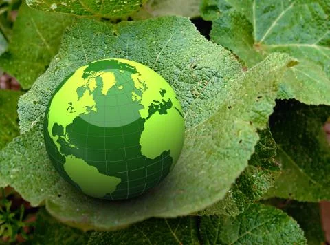 Green earth on leaf Stock Illustration