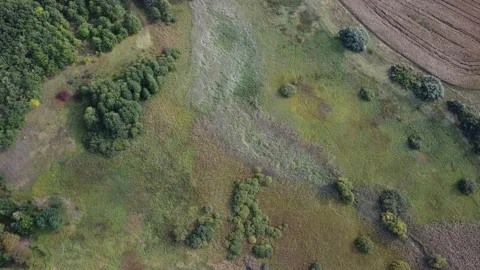 Green earth texture. Panoramic footage. Stock Footage 213629334