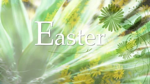 Green Easter Daisies 1080  background Stock Footage 50670165
