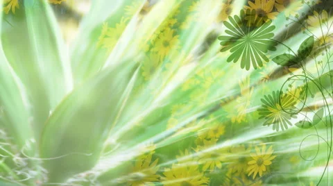 Green Easter Daisies Bkgd 1080 Stock Footage 50670044